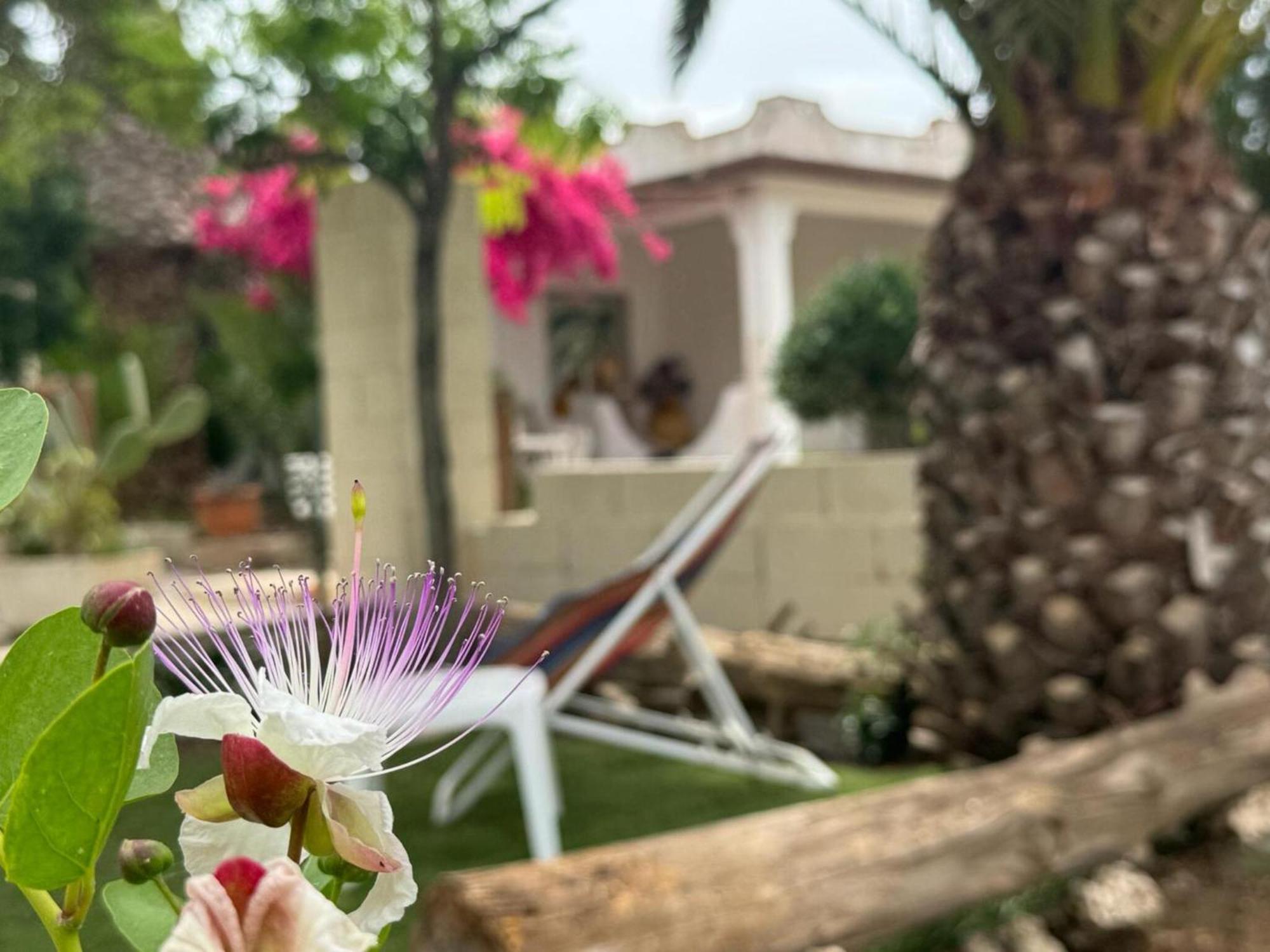 Villa Torretta - Mare Salento مارينا دي ليتسانو المظهر الخارجي الصورة