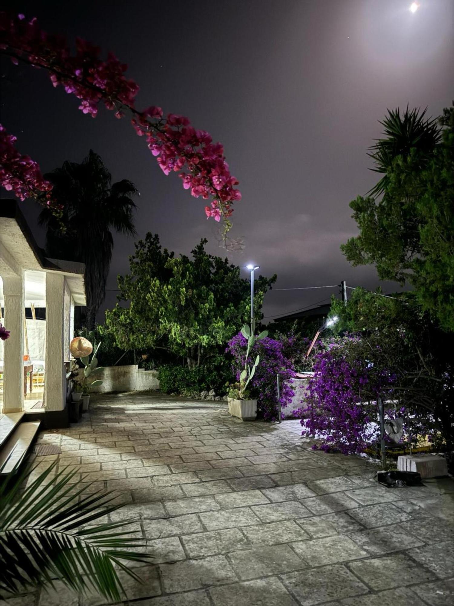 Villa Torretta - Mare Salento مارينا دي ليتسانو المظهر الخارجي الصورة