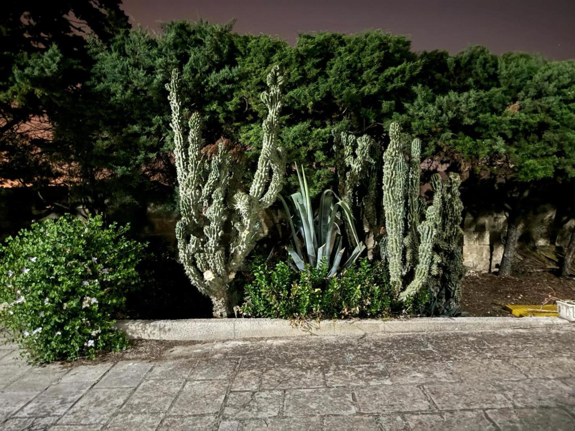 Villa Torretta - Mare Salento مارينا دي ليتسانو المظهر الخارجي الصورة