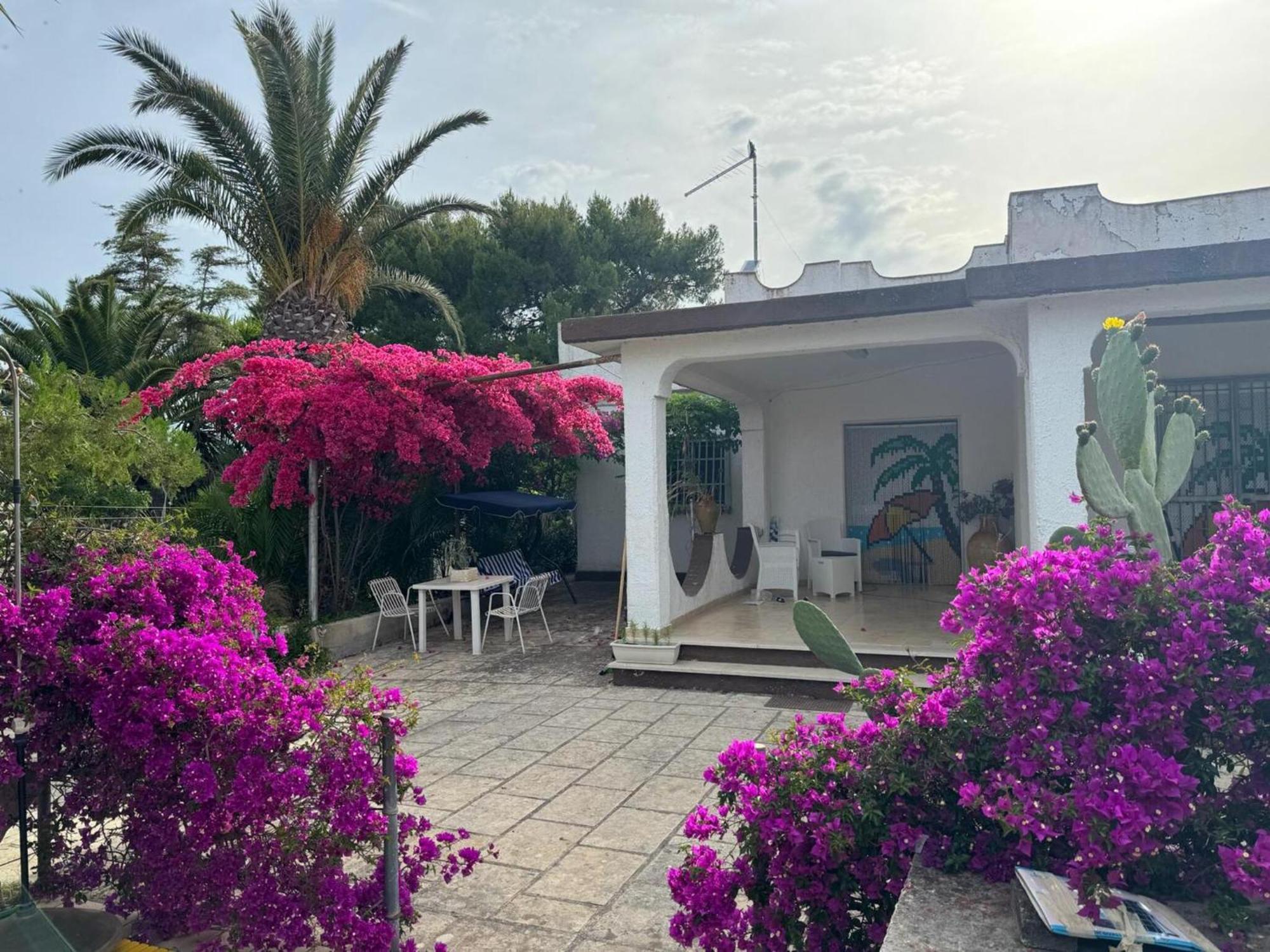 Villa Torretta - Mare Salento مارينا دي ليتسانو المظهر الخارجي الصورة