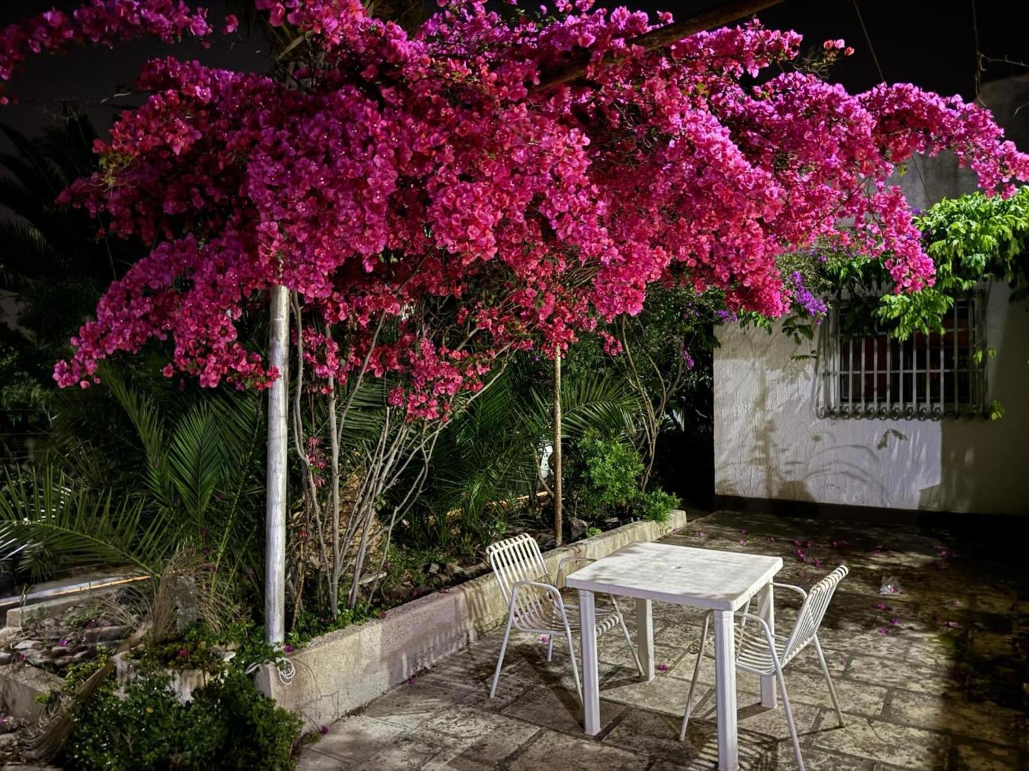 Villa Torretta - Mare Salento مارينا دي ليتسانو المظهر الخارجي الصورة
